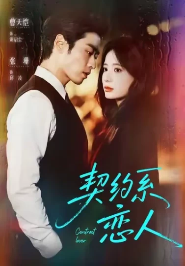 契约系恋人