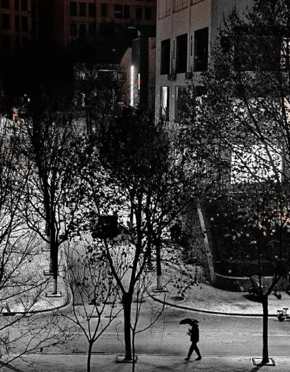 末世里的雪，黑白交界的混沌